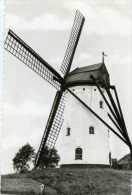 HOEKE Bij Damme (W.Vl.) - Molen/moulin - Oudere Zwart-wit Kaart (ca. 1970) Van De Stenen Dorpsmolen - Damme