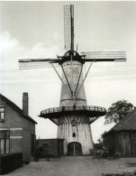 CHAAM (N.Br.) - Verdwenen Molen/moulin Disparu - Stenen Stellingmolen "Weltevreden" In 1938 (gedynamiteerd In 1944) - Altri & Non Classificati