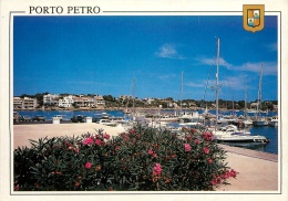 CPSM Mallorca-Porto Petro    L1834 - Altri & Non Classificati