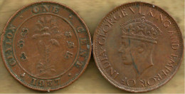 SRI LANKA CEYLON BRITISH 1 CENT PALM TREE FRONT KGVI HEAD BACK 1937 F/F KM112 READ DESCRIPTION CAREFULLY !!! - Sri Lanka