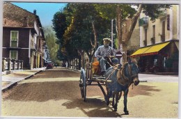 ROQUEBILLIERE: Lot De 2 Cartes , Gros Plan Sur Un Attelage. Vue Sur L'ancien Village, Et Vue Sur Le Nouveau Village - Roquebilliere