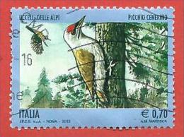 ITALIA REPUBBLICA USATO - 2013 - Uccelli Delle Alpi - Picchio Cenerino - € 0,70 - S. 3454 - 2011-20: Oblitérés