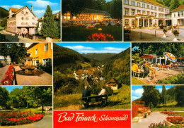 AK Bad Teinach-Zavelstein Im Schwarzwald Deutschland Calw Ansichtskarte GERMANY Allemagne Picture Postcard - Bad Teinach