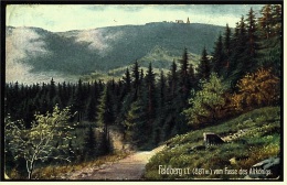 Feldberg Im Taunus  -  Vom Fuße Des Altkönigs  -  Ansichtskarte Ca.1929    (3957) - Königstein