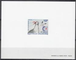 New Caledonia Sc719 Sea Bird, Oiseau, Silver Gull, Singapore 95, Deluxe Proof, Epreuve - Albatros & Stormvogels