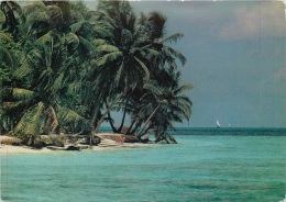 CPSM Les Maldives    L1836 - Maldiven