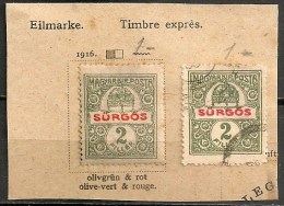 Timbres - Hongrie - Timbre Exprès - 1916 - 2 F. - - Neufs