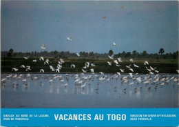 CPSM Vacances Au Togo   L1836 - Togo