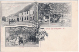 Gruß Aus STARGARD I Mecklenburg Gasthof Zur Linde Strasse U Gartenseite Belebt Jugendstil 5.8.1907 Gelaufen - Neubrandenburg