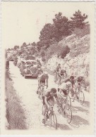CYCLISME, DAUPHINE LIBERE, LOUISON BOBET ASCENSION DU MONT VENTOUX - Cyclisme