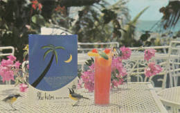 1970 CIRCA ANTIGUA MENU AT BLUE WATERS BEACH HOTEL - Antigua En Barbuda