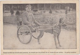 Cpa,mutilé, Vendeur De Carte Avec Son Chien Et Attelage,handicape,métier,handicapé Débrouillard - Autres & Non Classés