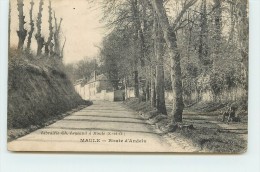 MAULE - Route D'Andelu. - Maule