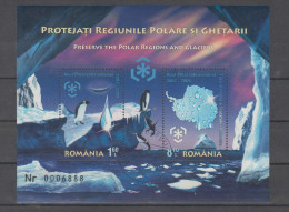 Romania 2009 Michel Nr Bl 444 Used Preserve Polar Regions - Sonstige & Ohne Zuordnung