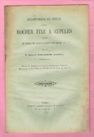 D85.DECOUVERTE ET ETUDE D'UN ROCHER FIXE A CUPULES DANS LE BOURG DE SAINT-LAURENT-SUR-SEVRE. - Pays De Loire