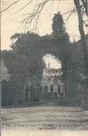 HAUTE NORMANDIE - 76 - SEINE MARITIME -VALMONT ( Ruines De L'abaye - Vue D'ensemble - Valmont