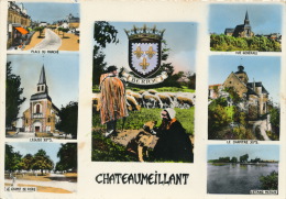 CHATEAUMEILLANT - Vues Multiples Et Blason De R. LOUIS - Châteaumeillant