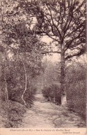 C 11353 - ELANCOURT - 78 -  Sur Le Chemin Du Moulin Neuf  - Belle CPA - 1910 - - Elancourt