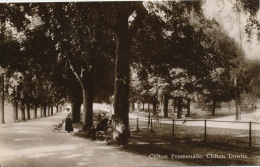 ROYAUME UNI - ENGLAND - BRISTOL - CLIFTON Promenade , Clifton Downs - Bristol