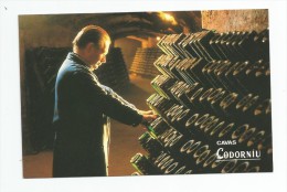 Cp , Vigne , CAVAS CODORNIU , Sant Sadurni D´Anoia , Vierge , Ed : D.L.B. 35-690-1992 - Vignes