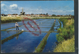 L113 - Au Pays De RETZ Salines à BOURGNEUF En RETZ - (44 - Loire Atlantique) - Bourgneuf-en-Retz