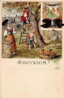 [DC5153] CARTOLINA - SVIZZERA - SOUVENIR DU CANTON DE THURGOVIE - PERFETTA - Non Viaggiata - Old Postcard - Sonstige & Ohne Zuordnung