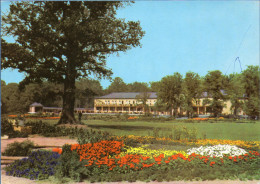 Markkleeberg - Blick Zur HO Park Gaststätte 3 - Markkleeberg