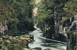 FAIRY Glen, BETWS-Y-COED - Caernarvonshire