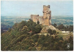 Delcampe - CPSM FRANCE 63 PUY-DE-DÔME VOLVIC - Château De Tournoël - 1967 - Volvic