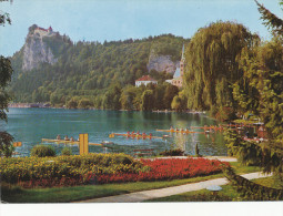 Bled, Slovenia, Rowing, Regata , Veslanje, Postcard - Aviron