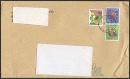 JAPAN 2014 - MAILED ENVELOPE - SHELLS - Fossilien