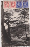 ALGERIE,AFRIQUE DU NORD,CHREA,EN 1948,4 TIMBRES D'EPOQUE,MARCOPHILIE,pres BLIDA,STATION DE SKI,ETE,refuge,ski Club,cedre - Blida