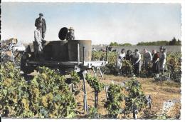 CPA.   LESPARRE MEDOC ..LES VENDANGES .   ANIME..BE....SCAN.. - Lesparre Medoc