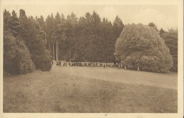 Kasteel Van Ardenne    Wandeling In Het Park - Sint-Pieters-Leeuw