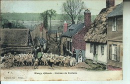 BLANGY S BRESLE Hameau De Fontaine (moutons) - Blangy-sur-Bresle