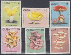 1989.9- * CUBA 1989. MNH. HONGOS. MUSHROOMS. FUNGUS. CHAMPIÑONES. COMPLETE SET. - Unused Stamps