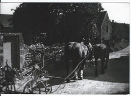 21  PHOTOS Ruralité ,NB Et Couleur - Andere & Zonder Classificatie