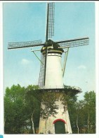 Molen - De Hoop - Tholen Nederland - Tholen