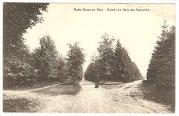 Notre Dame Au Bois  ---  Entrée Du Bois Des Capucins - Overijse