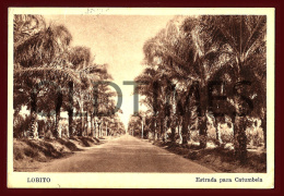 ANGOLA - LOBITO - ESTRADE PARA CATUMBELA - 1940 PC - Angola