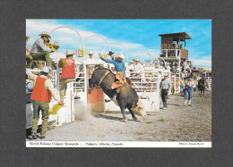 CALGARY - ALBERTA - CALGARY EXHIBITION AND STAMPEDE -  WILD STEER RIDING - PHOTO BY GEORGE HUNTER - Calgary