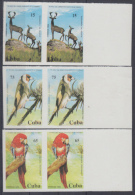 1994.56- * CUBA 1994. MNH. 55 ANIV ZOO NACIONAL. BIRD. PARROT. PROOF IMPERFORATE PAIR - Neufs