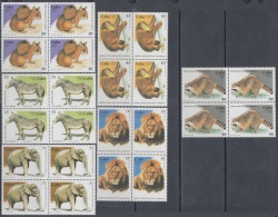 1995.44- * CUBA 1995. MNH. NATIONAL ZOO. LION. MAPACHE. MONKEY. ELEPHANT. ARDILLA. LEON. MONOS. CEBRA. BL4 - Ongebruikt