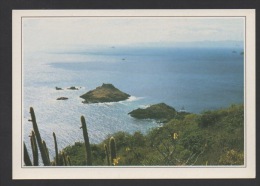 DF / GUADELOUPE / SAINT-BARTHELEMY / POINTE ROCKEFELLER - Saint Barthelemy