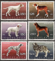 YUGOSLAVIA 1970 Fauna Yugoslav Dogs Set MNH - Unused Stamps