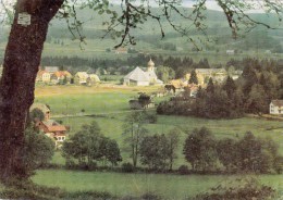 Hinterzarten - Katholische Pfarrkirhe- 1975 - Hinterzarten