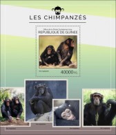 Guinea. 2014 Chimpanzees. (406b) - Schimpansen