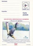 10240- BIRDS, GREAT CORMORANT, POSTCARD STATIONERY, 2000, ROMANIA - Palmípedos Marinos