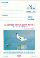 10242- BIRDS, PIED AVOCET, POSTCARD STATIONERY, 2000, ROMANIA - Picotenazas & Aves Zancudas