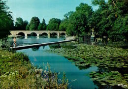 MONTFORT LE GESNOIS  PONT DE GENNES           Bords De L'huisne ,le Pont Romain Et Le Barrage - Montfort Le Gesnois